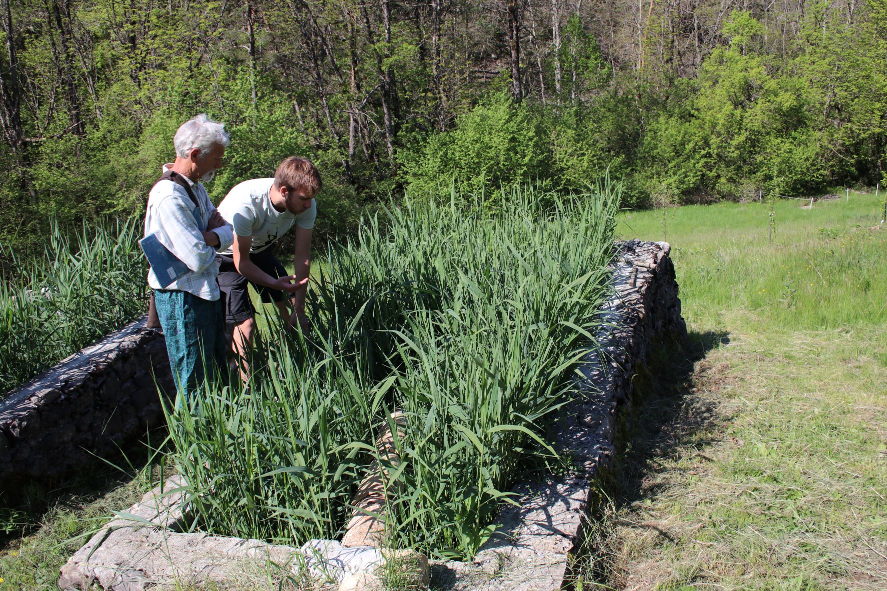 Station de d'assainissement individuelle en phytoépuration