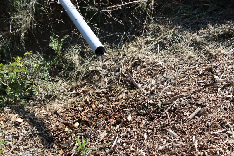 Station phytoépuration